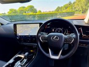 Lexus NX 350H 23