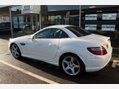 Mercedes-Benz SLK SLK200 BLUEEFFICIENCY AMG SPORT 13