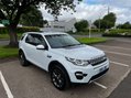 Land Rover Discovery Sport 2.2 Discovery Sport HSE SD4 Auto 4WD 5dr 39