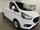 Ford Transit Custom 300 LIMITED P/V ECOBLUE