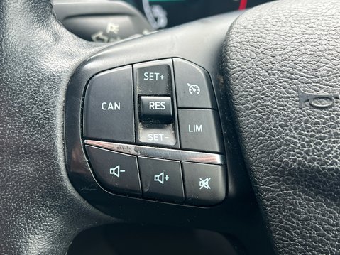 Ford Transit Custom 300 TRAIL L1H1 ECOBLUE 29