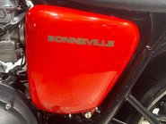 Triumph Bonneville SE 2013 7K NEW MOT INCREDIBLE CONDITION CUSTOM NAKED BIKE 865CC 39