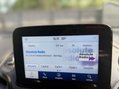 Ford Transit Connect 1.5 Transit Connect 250 Limited EcoBlue 73