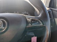 Skoda Karoq SE TDI SCR DSG 22