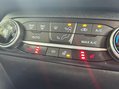 Ford Fiesta ACTIVE X 5