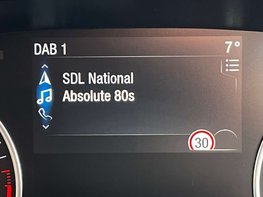 Ford Ecosport 1.0 EcoSport ST-Line 5dr 29