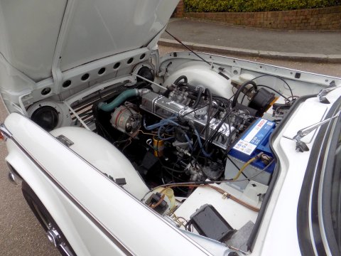 Triumph TR5 Sports 26