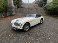 Austin Healey 3000 28