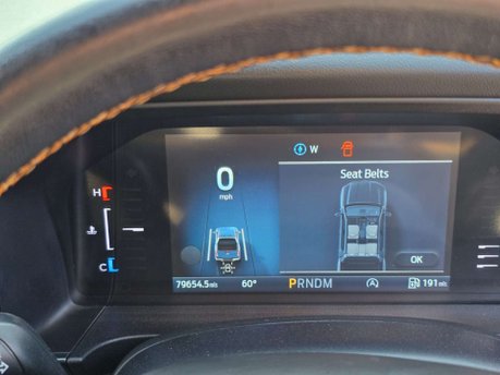 Ford Ranger 2.0 TD EcoBlue Wildtrak Pickup Double Cab 4dr Diesel Auto 4WD Euro 6 (s/s)  39