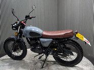 Mutt Hilts 2021 ONLY 529 MILES 1 OWNER WARRANTY 125CC SCRAMBLER 12