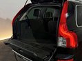 Volvo XC90 D5 R-DESIGN NAV AWD AUTOMATIC 10
