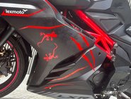 Lexmoto LXR 2020 10K RUNNING SPORTS BIKE PROJECT 125CC LEARNER BIKE 12