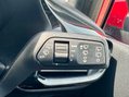 Ford Fiesta TREND 24