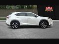 Lexus NX 300H F SPORT 11