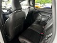 Ford Kuga 1.5T EcoBoost ST-Line Euro 6 (s/s) 5dr 41