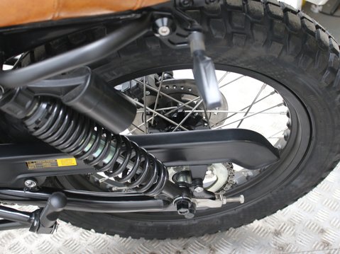 Mutt Akita 125 Pre-registered 12