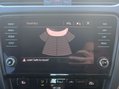 Skoda Octavia 2.0 Octavia vRS TDI Semi-Automatic 5dr - NATIONAL DELIVERY* 39