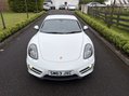 Porsche Cayman 24V 6
