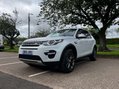 Land Rover Discovery Sport 2.2 Discovery Sport HSE SD4 Auto 4WD 5dr 28