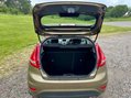 Ford Fiesta ZETEC 50