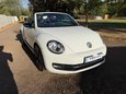 Volkswagen Beetle SPORT TDI BLUEMOTION TECHNOLOGY DSG 6