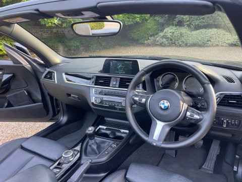 BMW 2 Series 2.0 218d M Sport Convertible 2dr Diesel Manual Euro 6 (s/s) (150 ps) 41