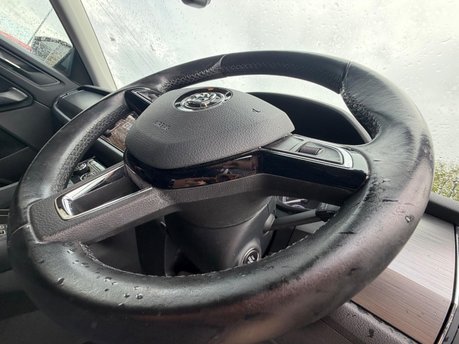 Skoda Kodiaq SE TDI SCR 19
