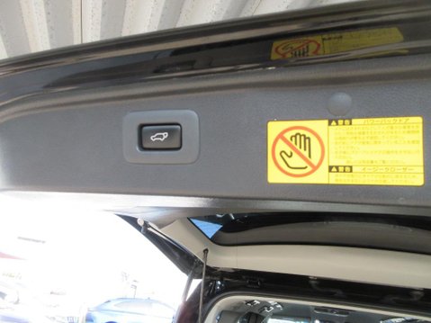 Toyota Vellfire 2.4 Z GOLDEN EYES + 7 Seats 21