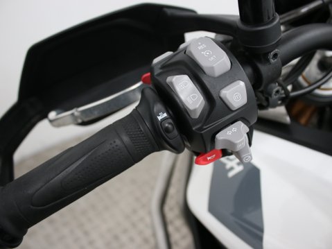 Triumph Tiger 900 TIGER 900 RALLY PRO 21