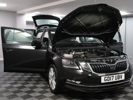 Skoda Octavia SE L TSI 15
