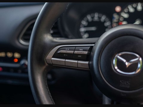 Mazda CX-30 2.0 CX-30 SE-L Luxury MHEV 5dr 33