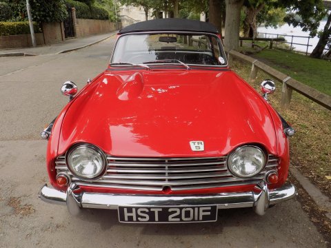 Triumph TR5 Pi Sports 15
