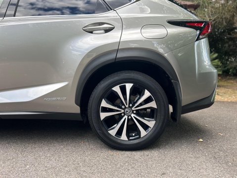 Lexus NX 300H 44