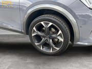 Cupra Formentor 2.0 TSI V2 SUV 5dr Petrol DSG 4Drive Euro 6 (s/s) (190 ps) Alloys - Air Con 9