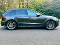 Audi SQ5 3.0 BiTDI V6 11