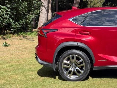 Lexus NX 300H LUXURY 15
