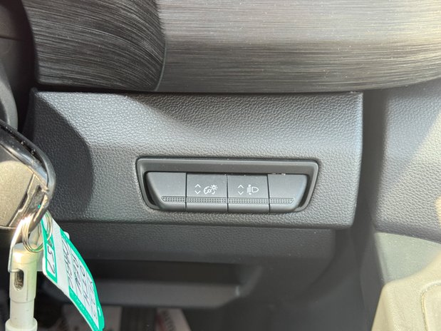 Renault Trafic SWB L1H1 Low Roof Sport 280 EURO 6 23