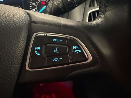 Ford Focus 1.0T EcoBoost Titanium Euro 6 (s/s) 5dr 17