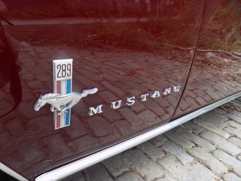 Ford Mustang 289 Hardtop Coupe 35