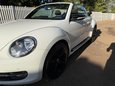 Volkswagen Beetle SPORT TDI BLUEMOTION TECHNOLOGY DSG 13