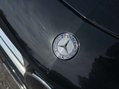 Mercedes-Benz A Class 1.5 A180 CDI Sport Hatchback 5dr Diesel 7G-DCT Euro 5 (s/s) (109 ps) 13