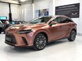 Lexus RX 450H PLUS PREMIUM PLUS 9