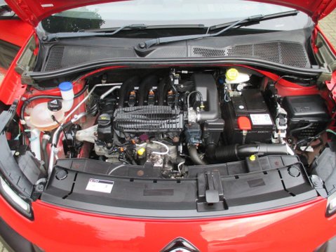 Citroen C4 Cactus 1.2 PureTech Feel Euro 6 5dr (Euro 6) 49