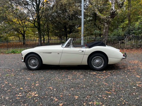 Austin Healey 3000 30