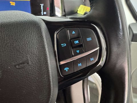 Ford Transit Custom 2.0 Transit Custom 300 Limited EcoBlue 24
