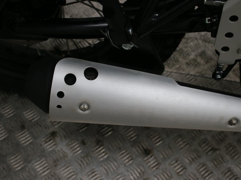 Mutt Akita 125 Pre-registered 21