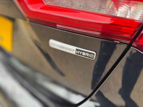 Ford Focus 1.0 Focus Active X Edition MHEV 5dr 48