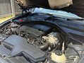 BMW 1 Series 1.6 116i M Sport 3dr 60