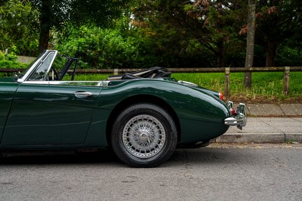 Austin Healey 3000 16