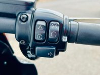 Harley-Davidson Street Dyna Street Bob 1745 11